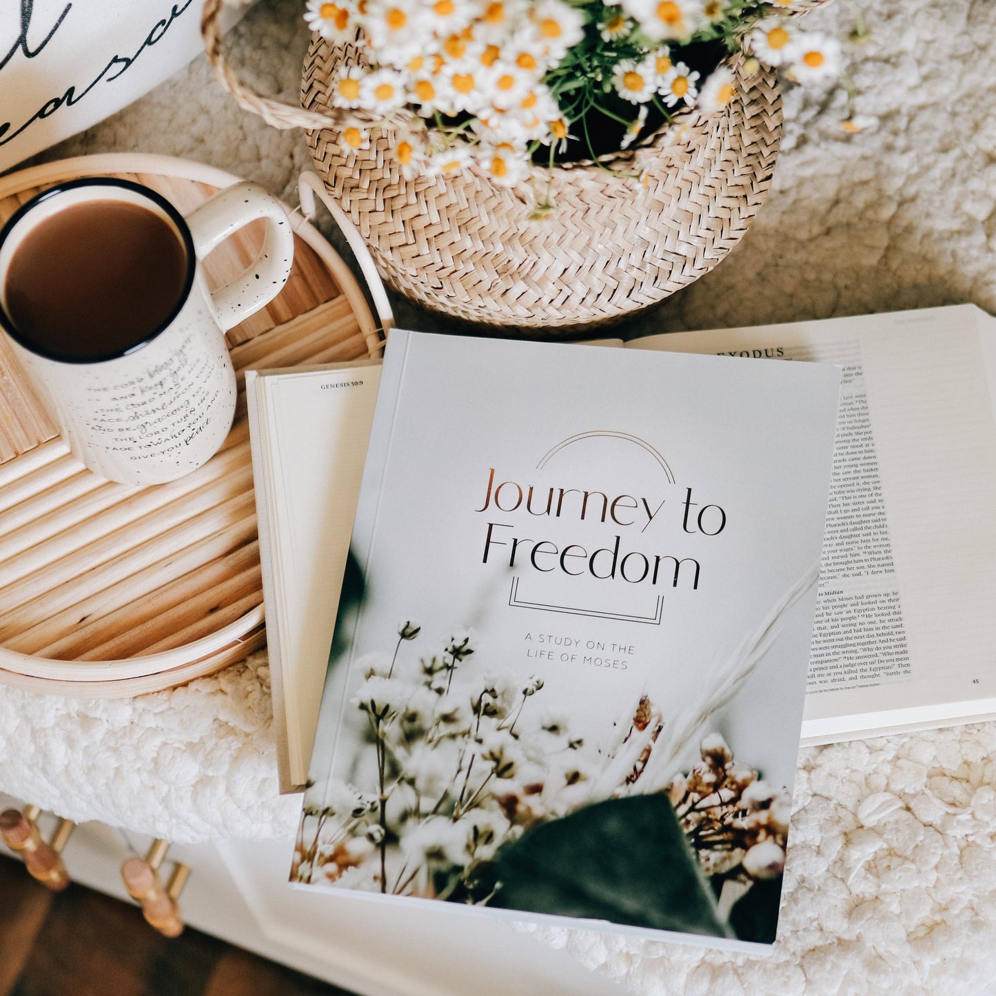 Journey to Freedom Bible Study
