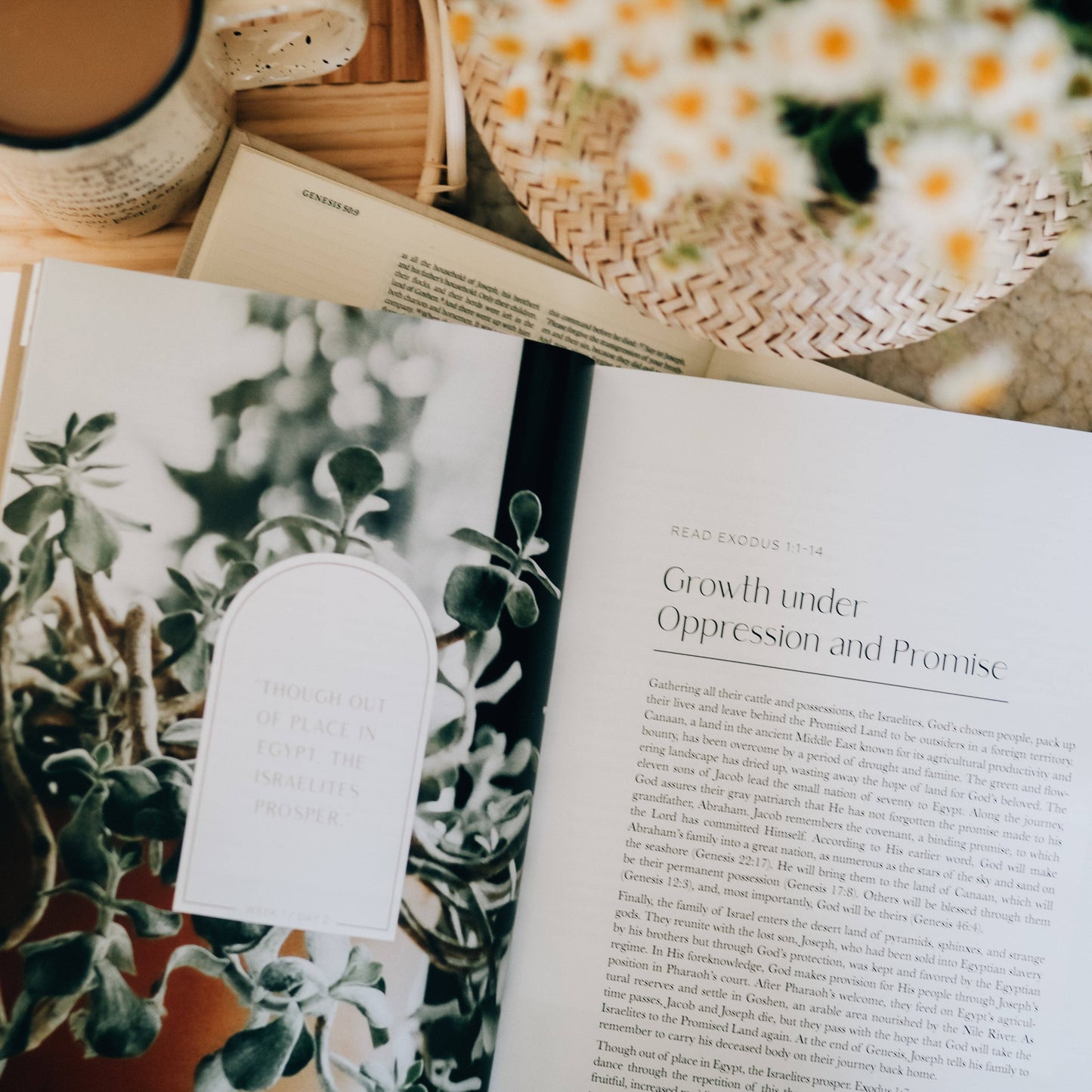 Journey to Freedom Bible Study