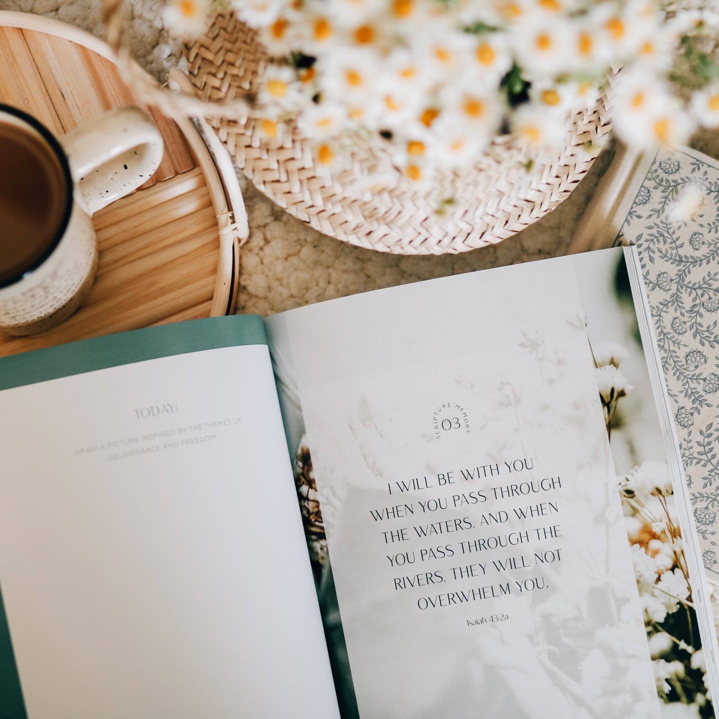 Journey to Freedom Bible Study