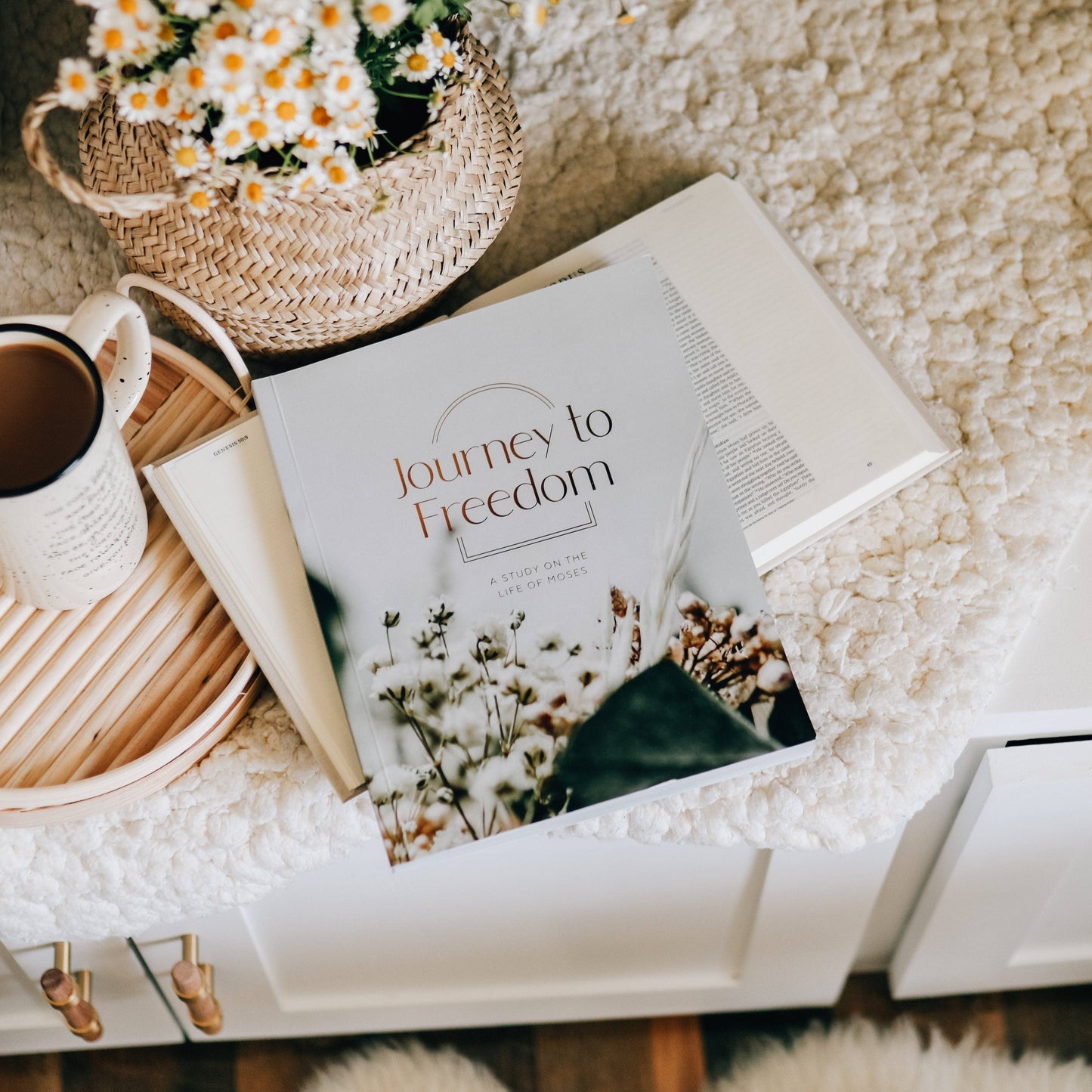 Journey to Freedom Bible Study