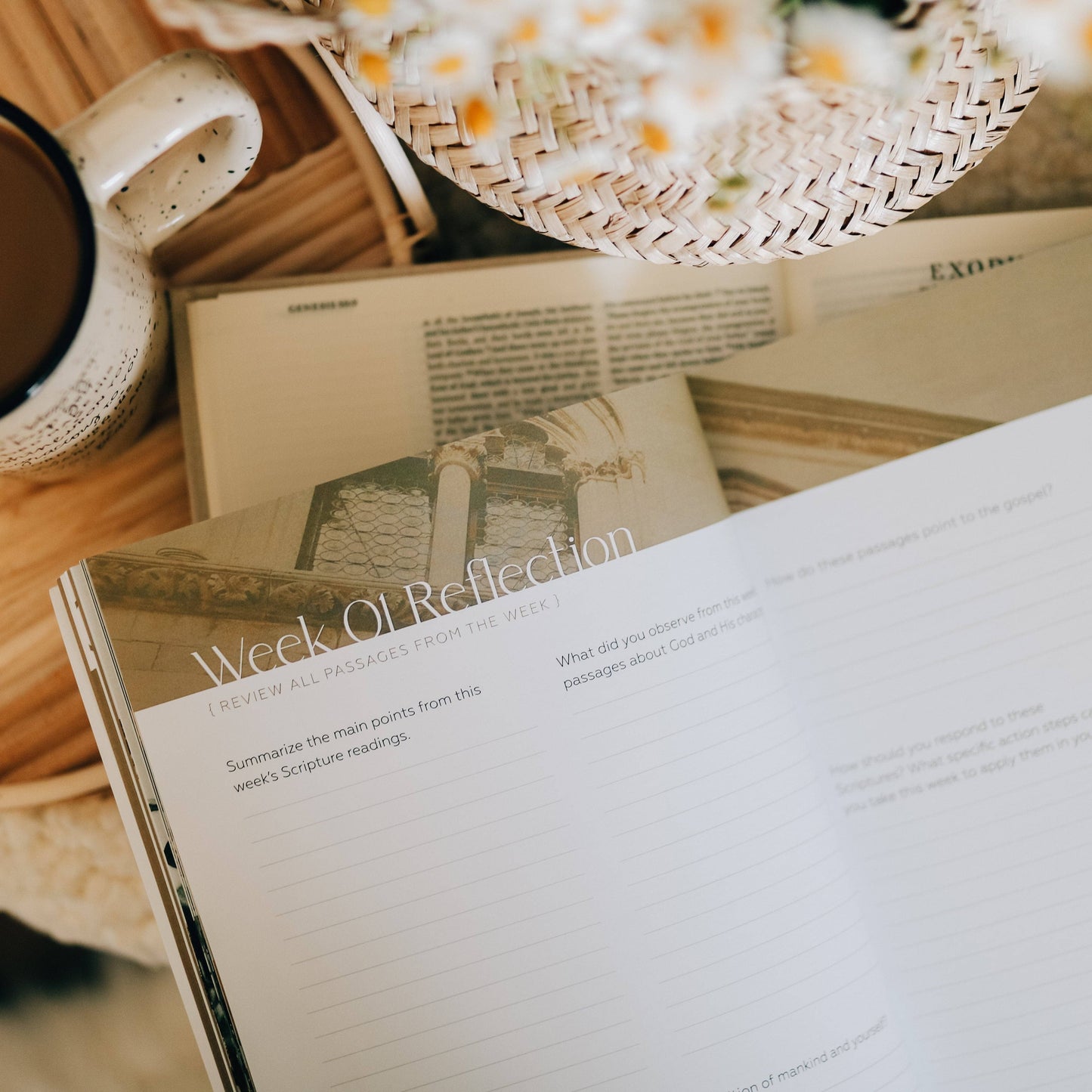 Journey to Freedom Bible Study