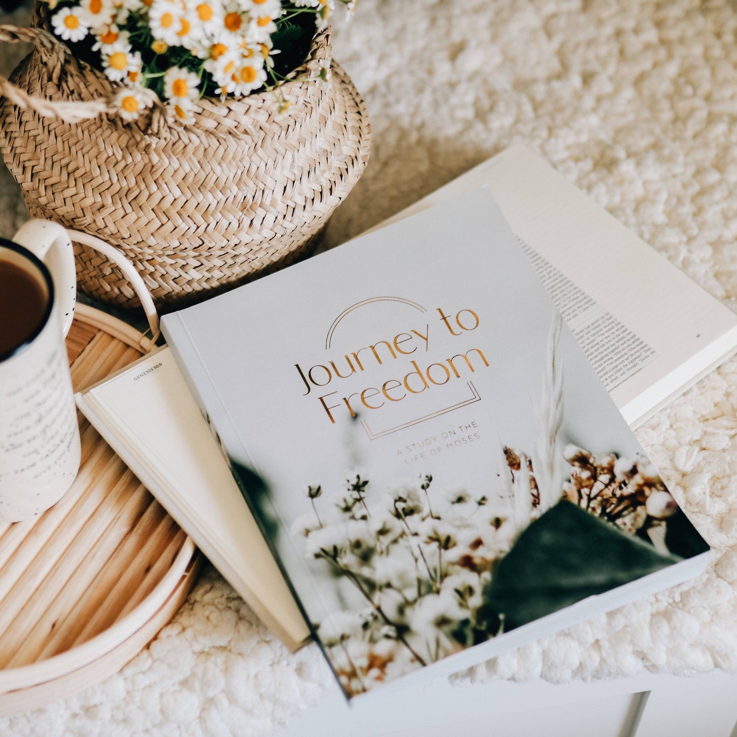 Journey to Freedom Bible Study