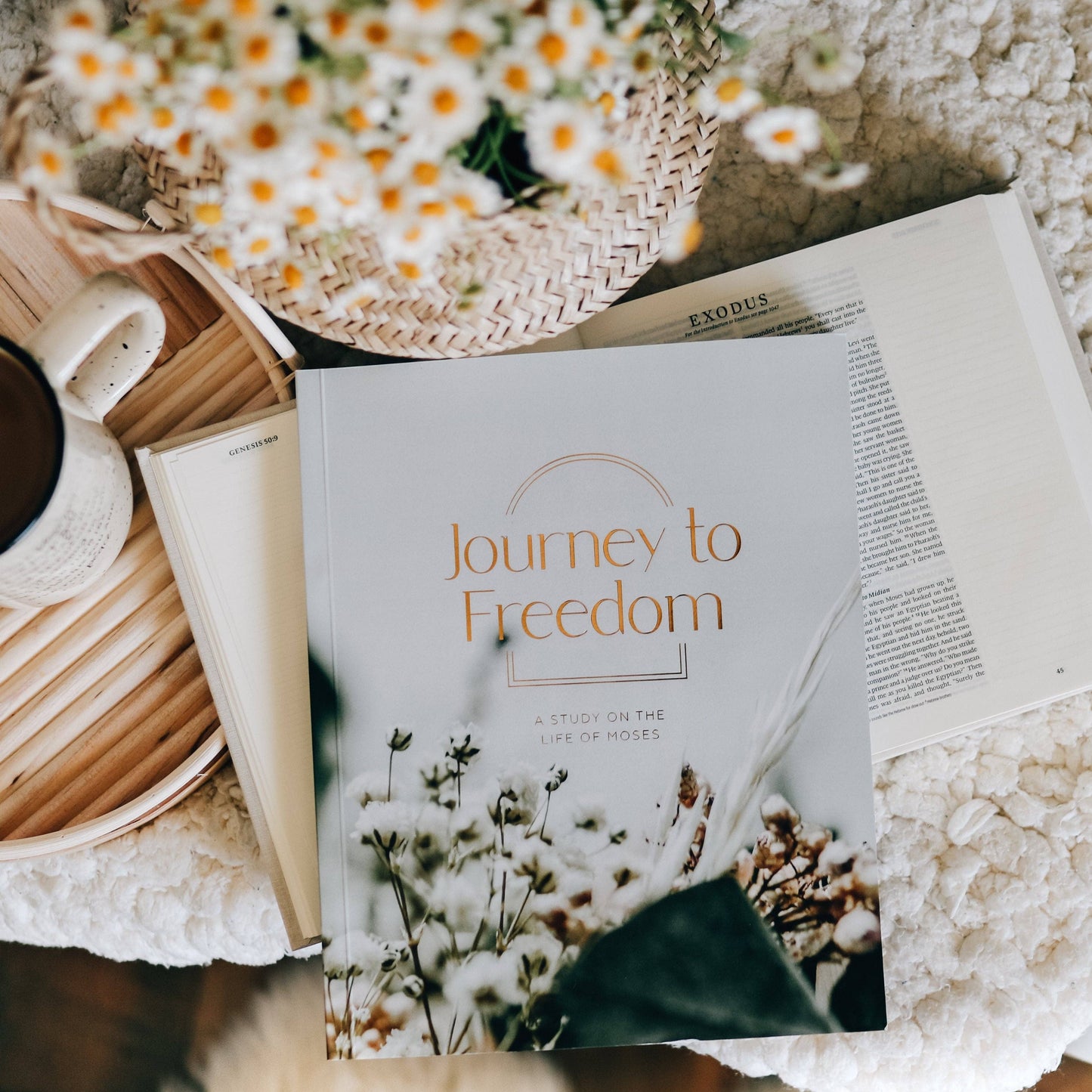 Journey to Freedom Bible Study