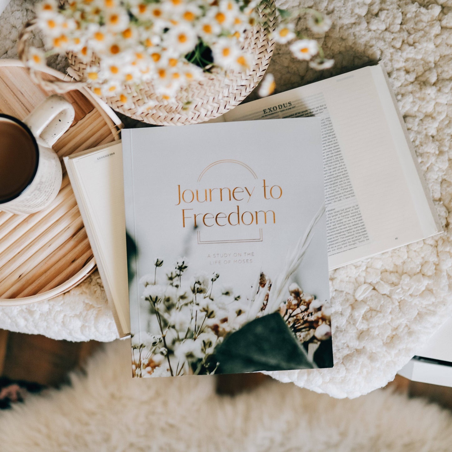 Journey to Freedom Bible Study