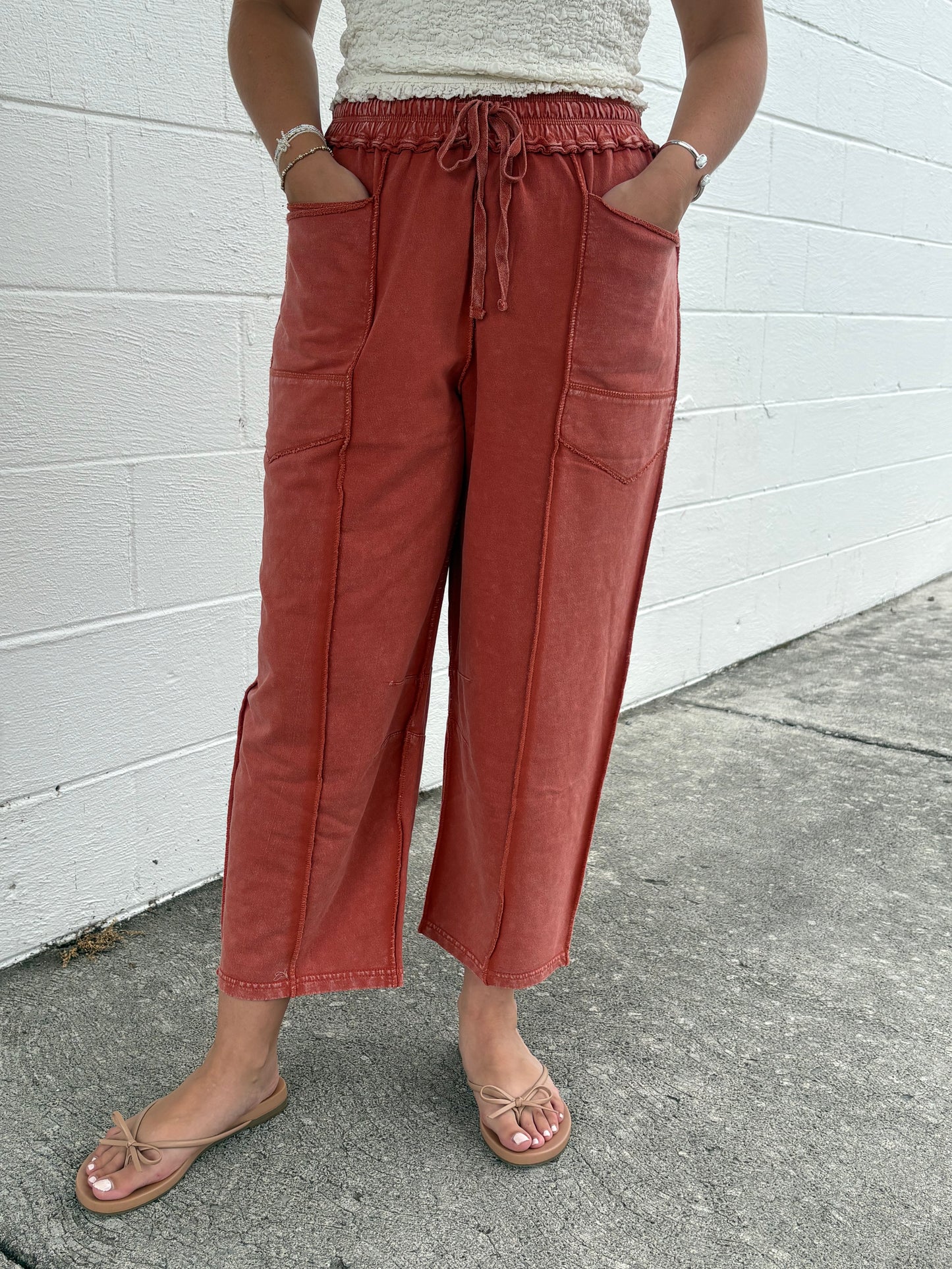 Easel Brick Mineral Washed Pant
