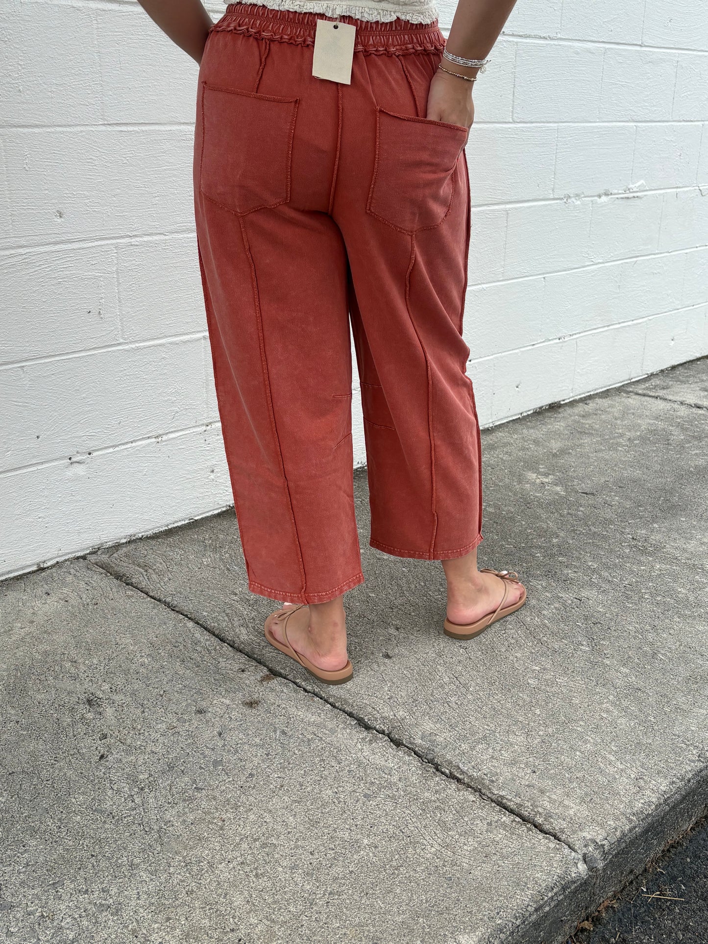 Easel Brick Mineral Washed Pant