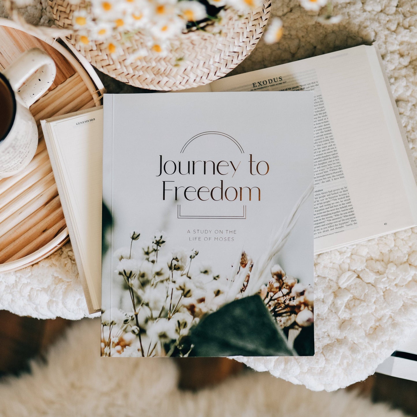Journey to Freedom Bible Study
