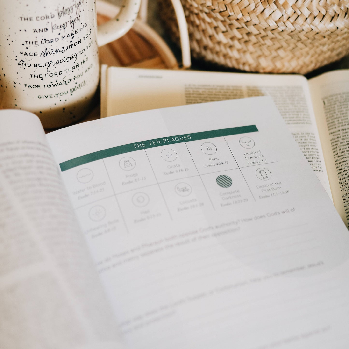 Journey to Freedom Bible Study